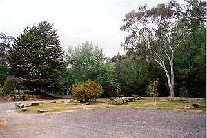 springs.jpg (26784 bytes)